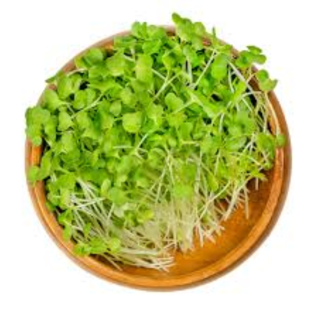 GARNISH GARDEN MICROGREENS BROCCOLI 30G	